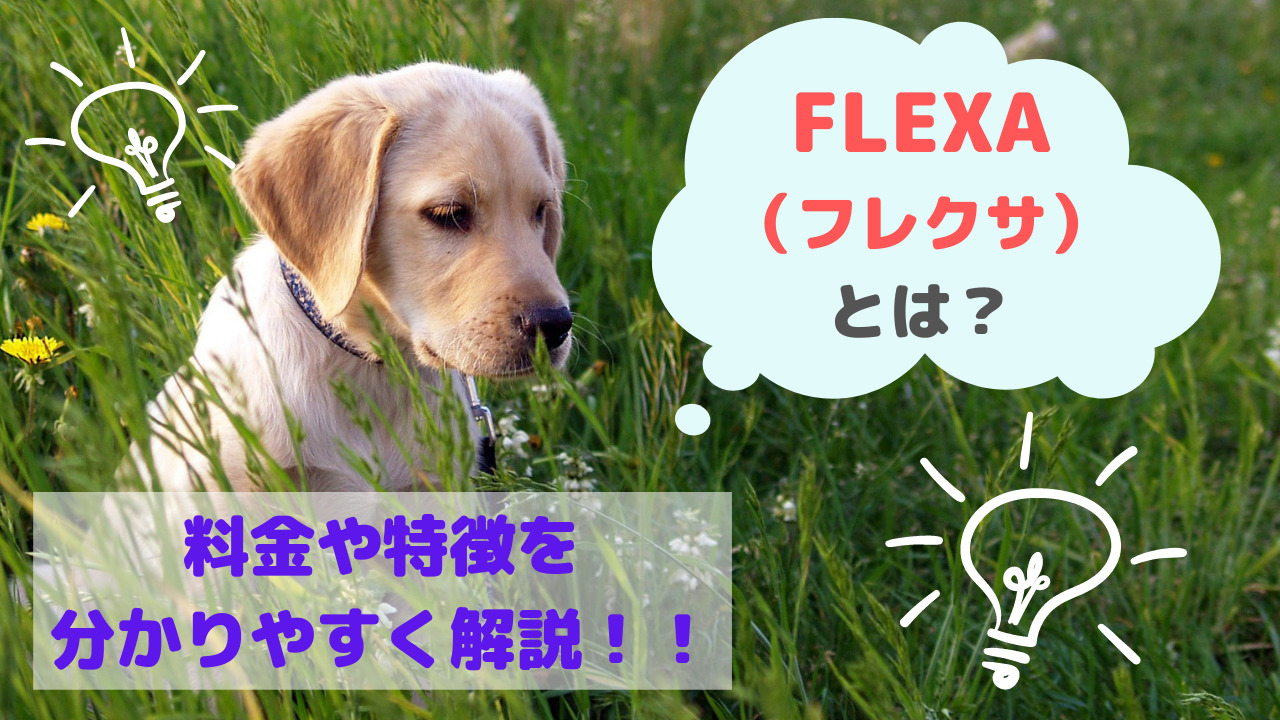 FLEXA （フレクサ） とは？