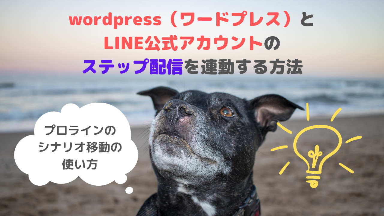wordpress（ワードプレス）と LINE公式アカウントの ステップ配信を連動する方法