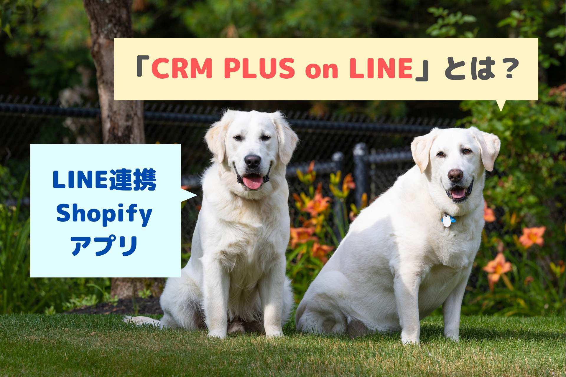 LINE連携Shopifyアプリ「CRM PLUS on LINE」とは