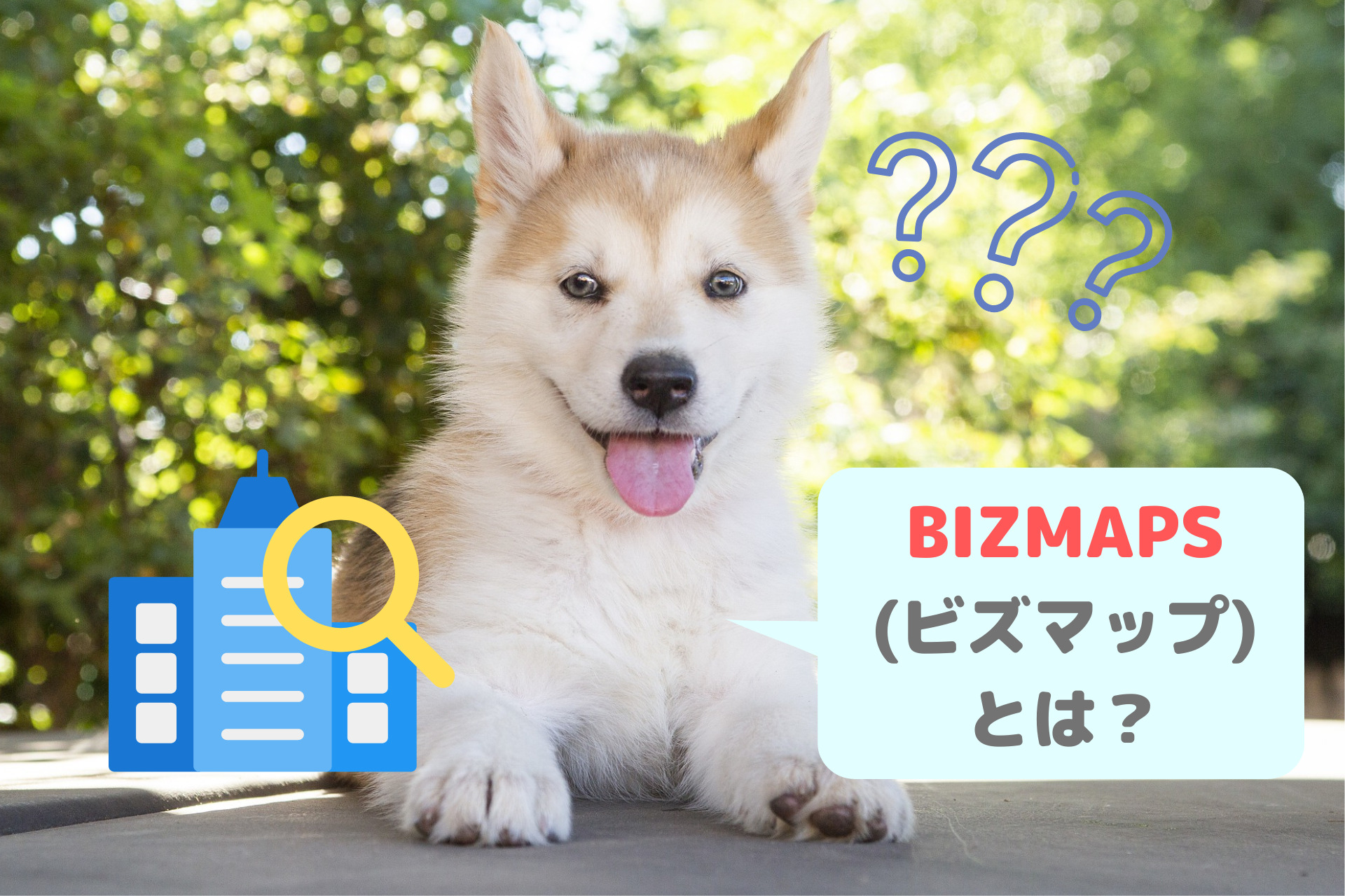 BIZMAPS(ビズマップ)とは？