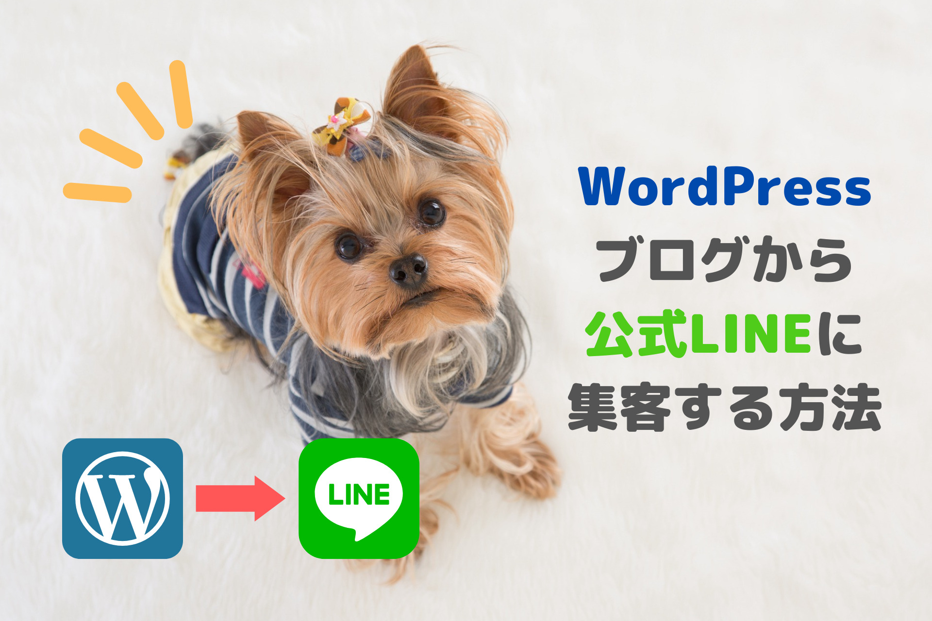 WordPress(ワードプレス)ブログからLINE公式アカウントに集客する方法