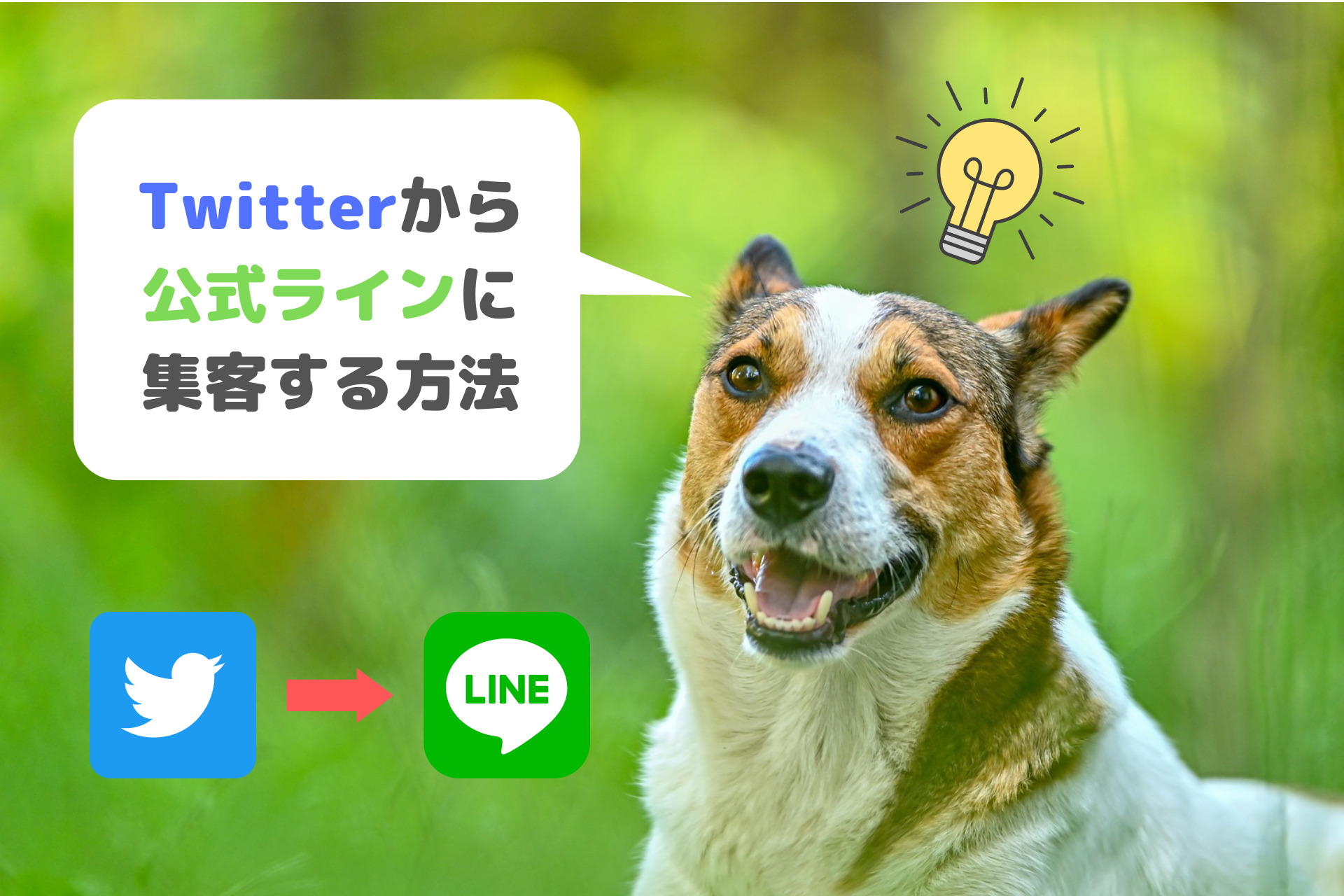 Twitter(ツイッター)からLINE公式アカウントに集客する方法