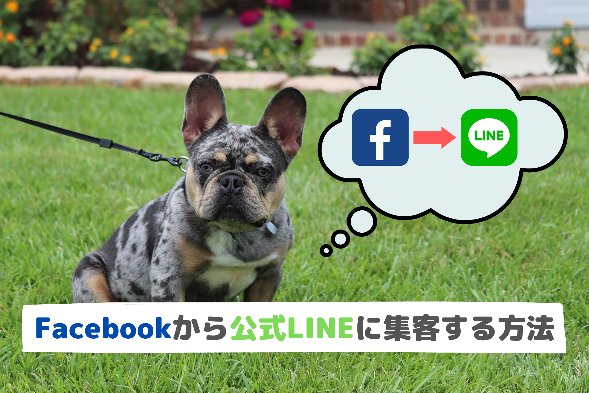 Facebook(フェイスブック)からLINE公式アカウントに集客する方法