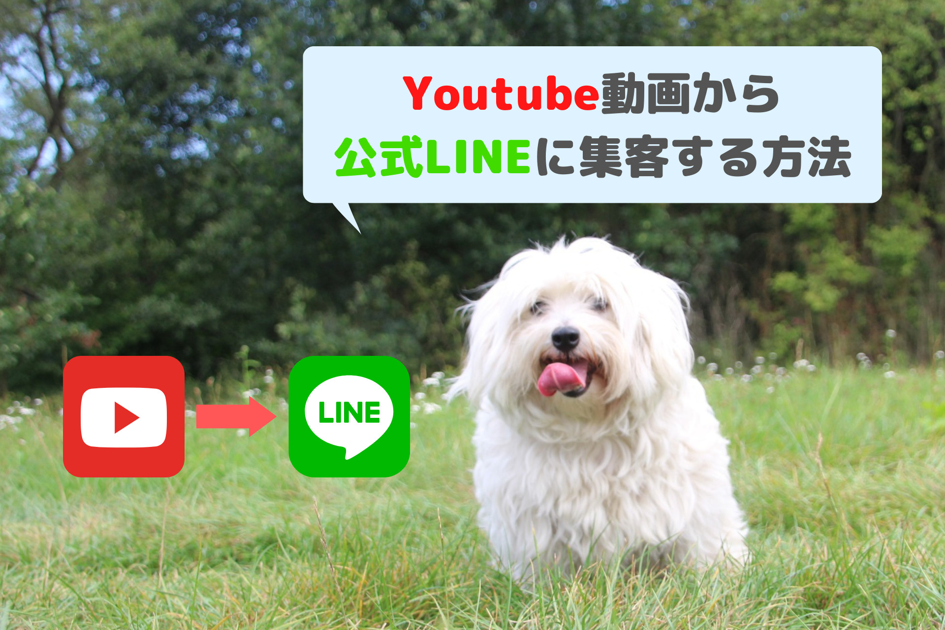 Youtube(ユーチューブ)動画からLINE公式アカウントに集客する方法