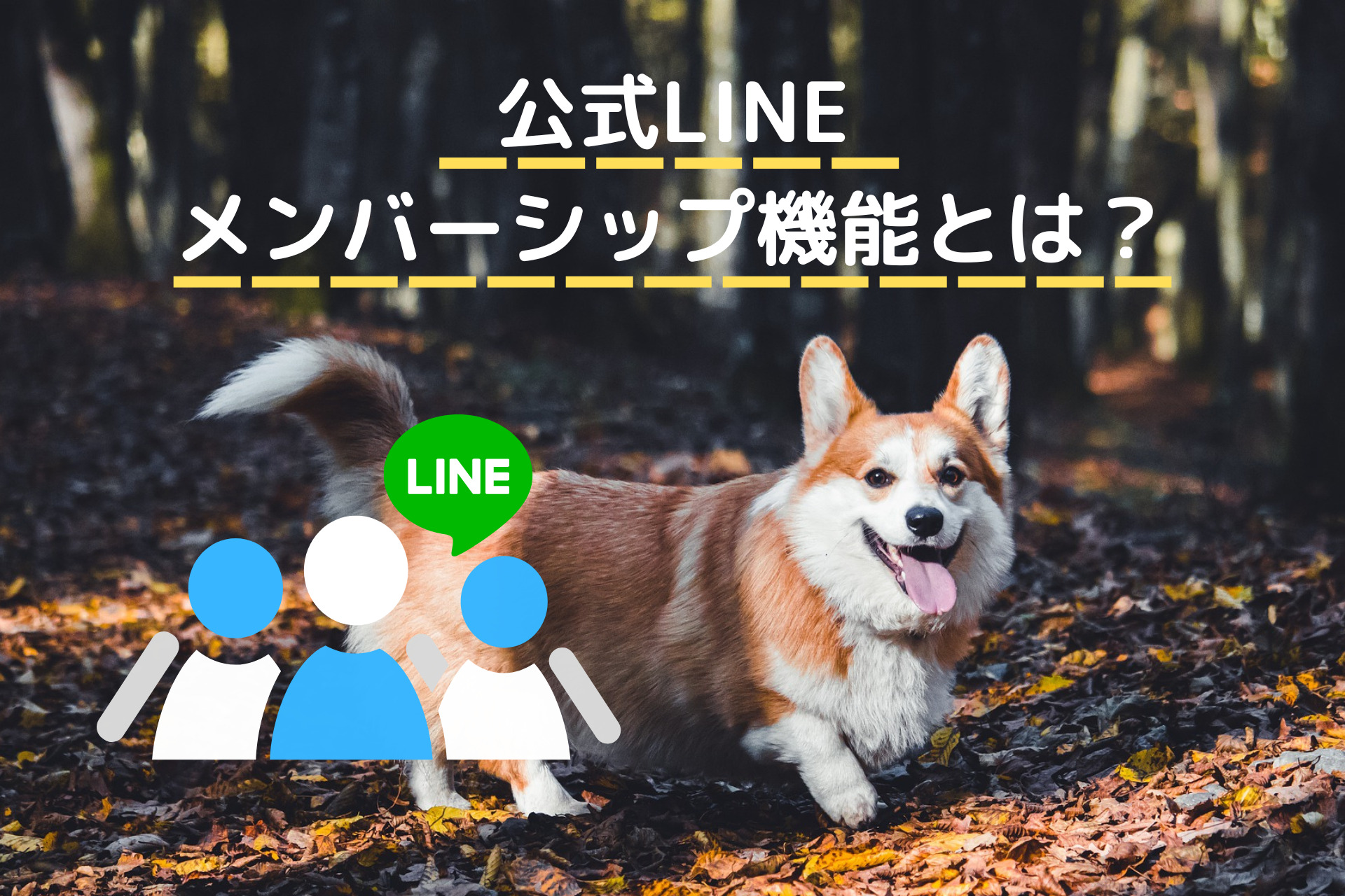 LINE公式アカウントのメンバーシップ機能とは？【公式LINEでサブスクして稼ぐ方法】