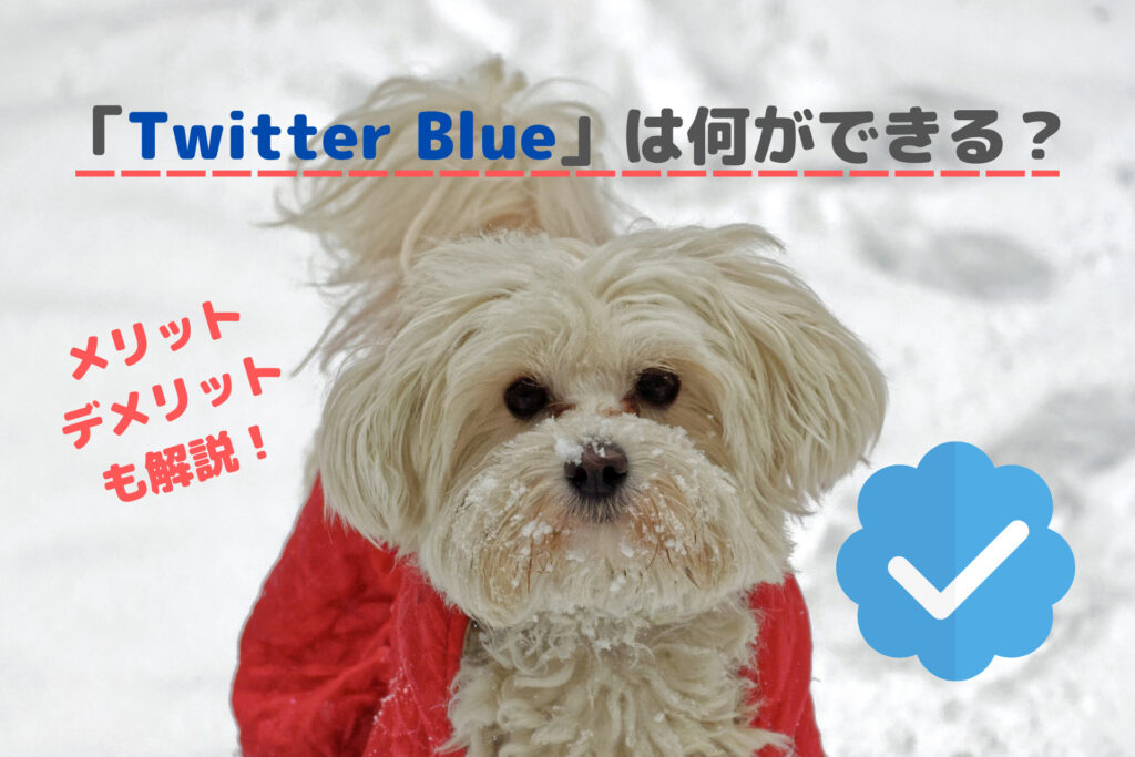 Twitterの有料プラン「Twitter Blue(ツイッターブルー)」は何ができる？【メリットだけでなくデメリットも紹介】