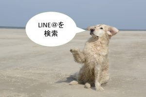 LINE公式アカウント(旧:ラインアット)を検索する５つの方法【豆知識も公開】
