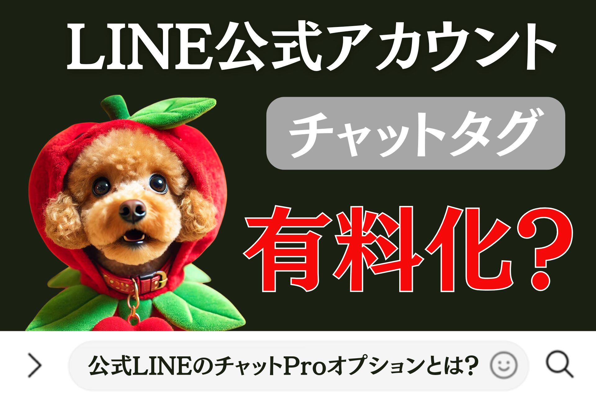 公式LINEのチャットProオプションとは？チャットタグ有料化？