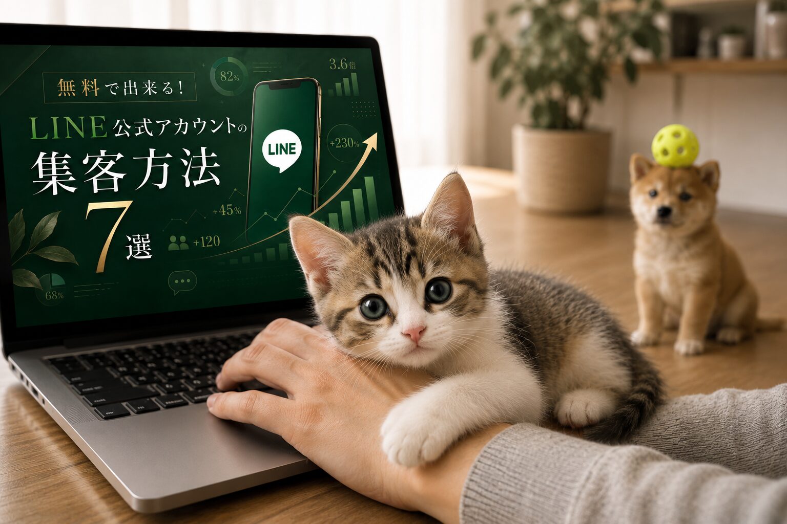 無料で出来る！LINE公式アカウントの集客方法7選